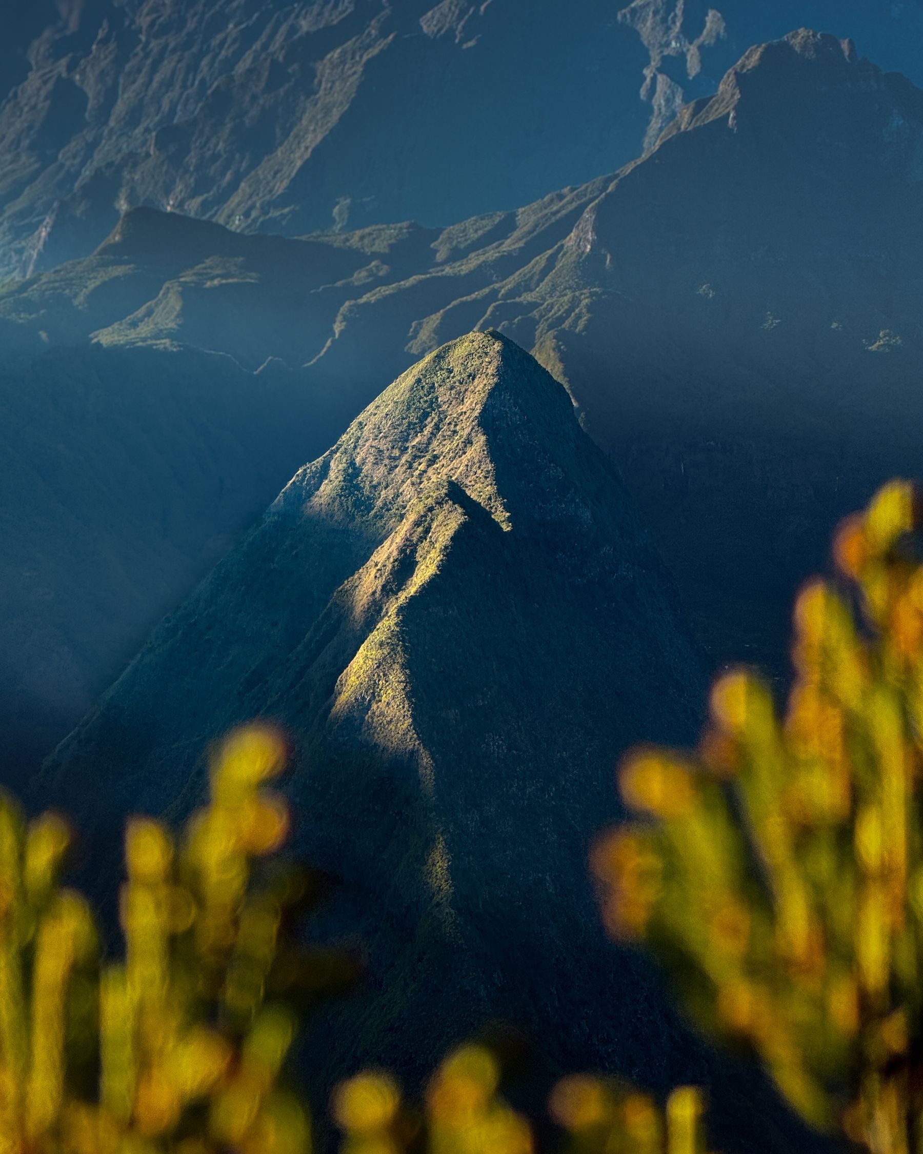 Les montagnes verdoyantes de La Réunion